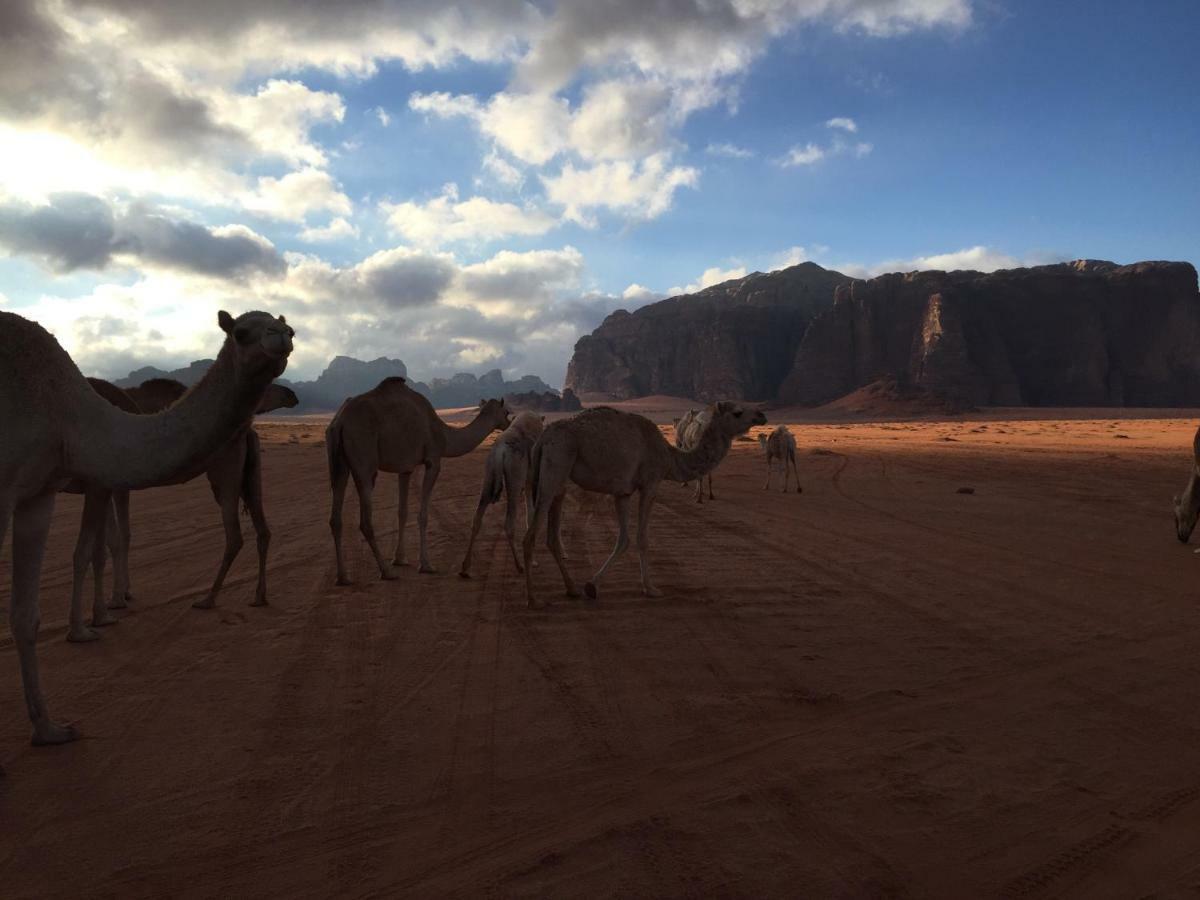 Desert guide camp Wadi Rum Buitenkant foto